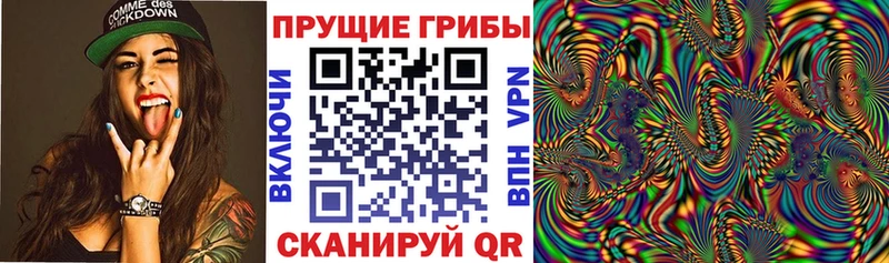Галлюциногенные грибы Cubensis  Купить где  Дагестанские Огни 